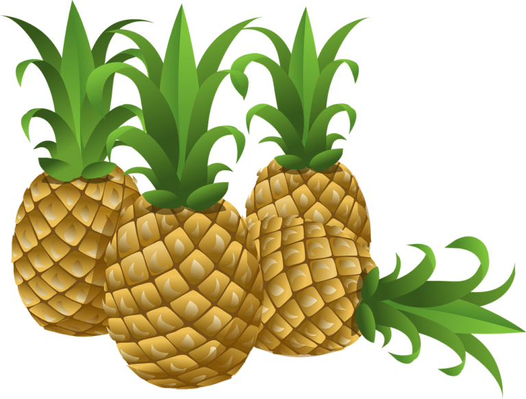 Animation soirée d'entreprise - Ananas